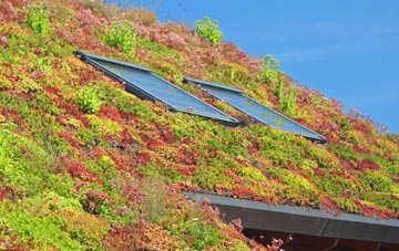 Near Hardcastle living roof systems